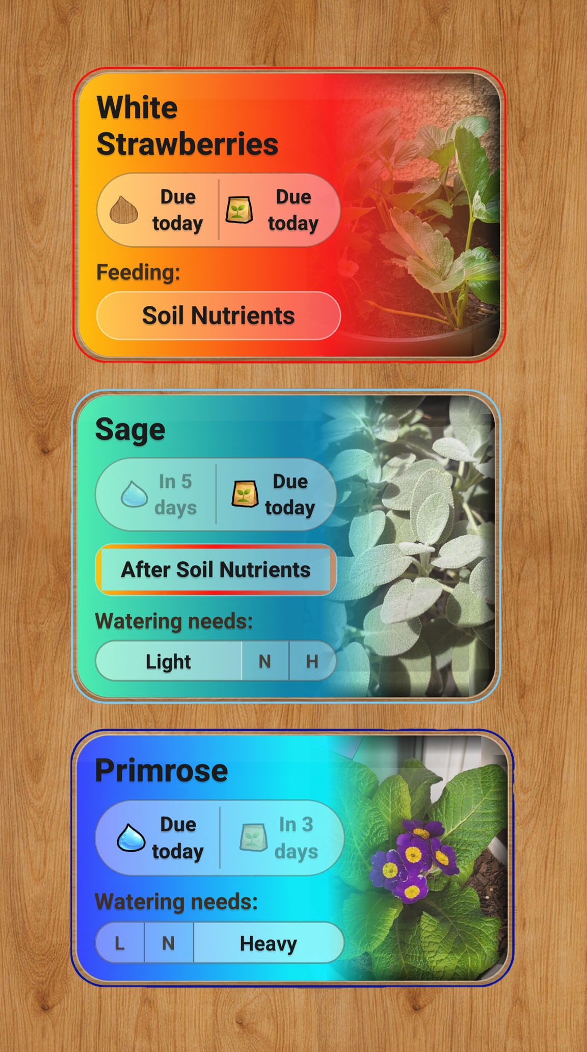 SproutShout smart scheduling screens